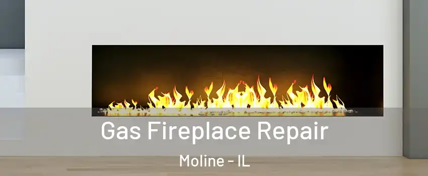  Gas Fireplace Repair Moline - IL