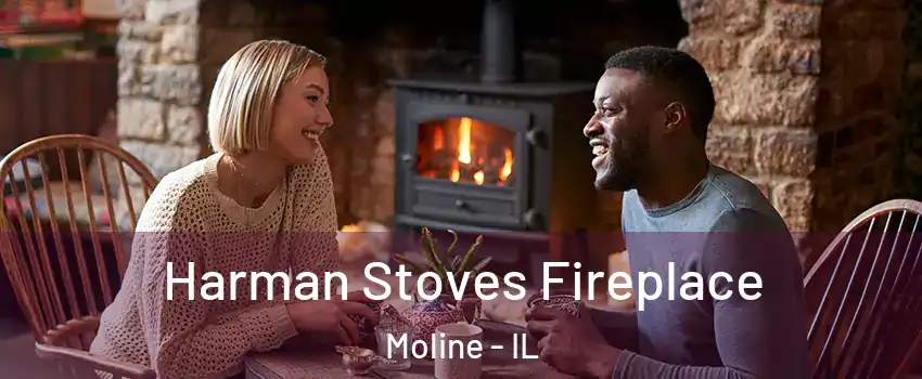  Harman Stoves Fireplace Moline - IL