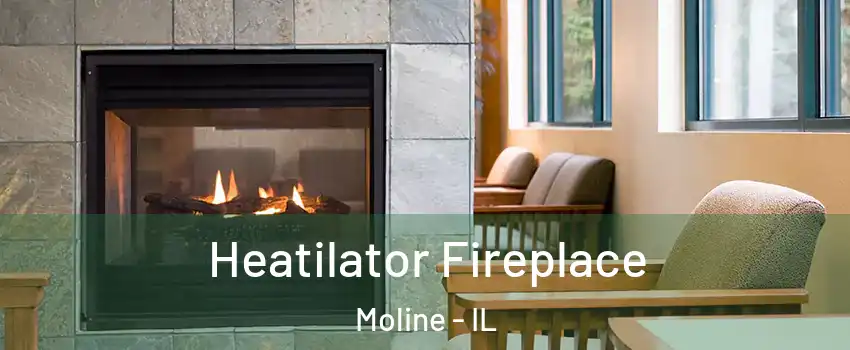  Heatilator Fireplace Moline - IL