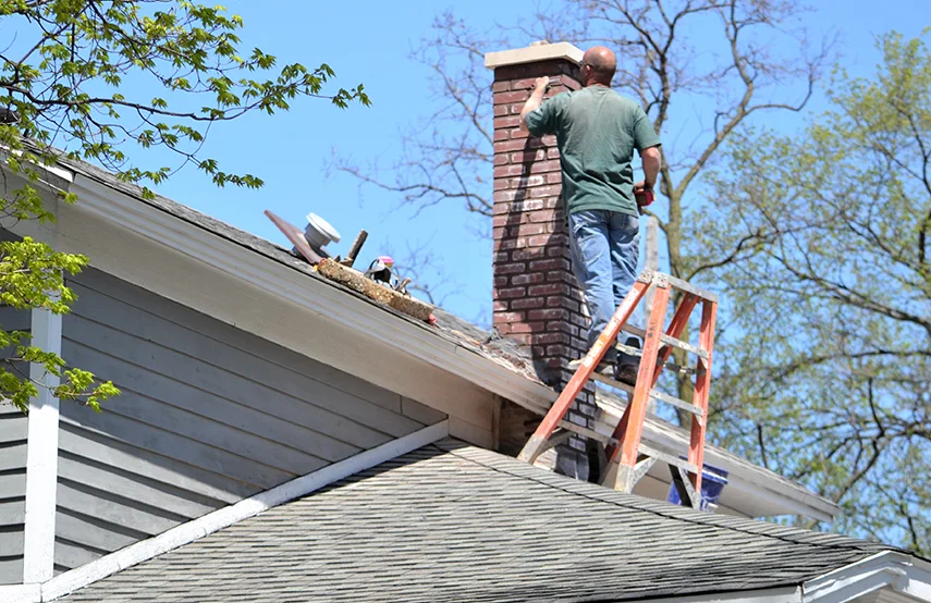 Chimney & Fireplace Inspections Services in Moline, IL