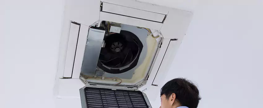 Benefits of Professional Air Duct Cleaning in Moline, Illinois