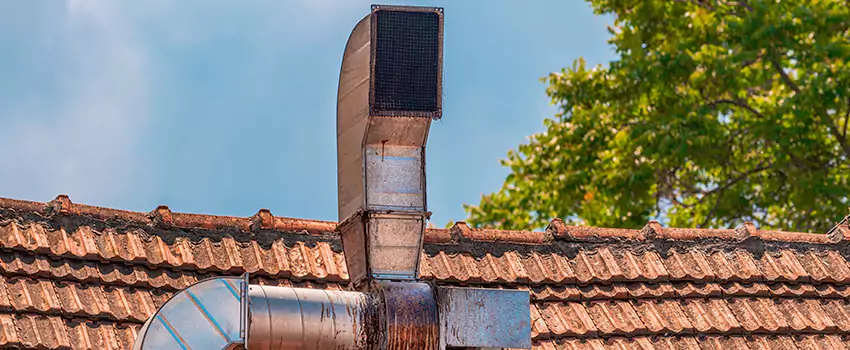 Chimney Blockage Removal in Moline, Illinois