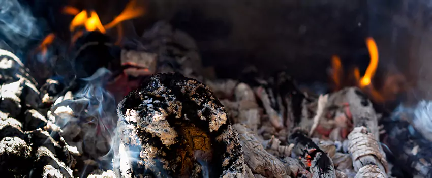 Creosote Removal Experts in Moline, IL