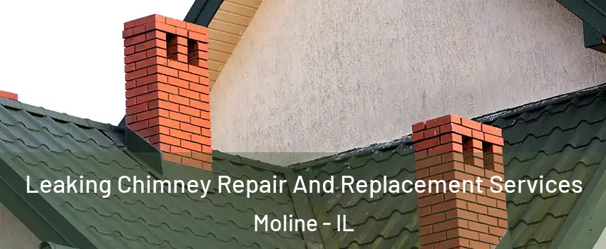  Leaking Chimney Repair And Replacement Services Moline - IL
