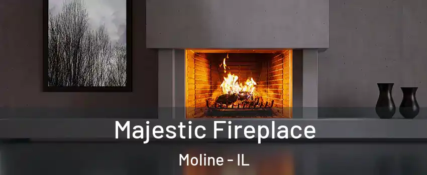  Majestic Fireplace Moline - IL