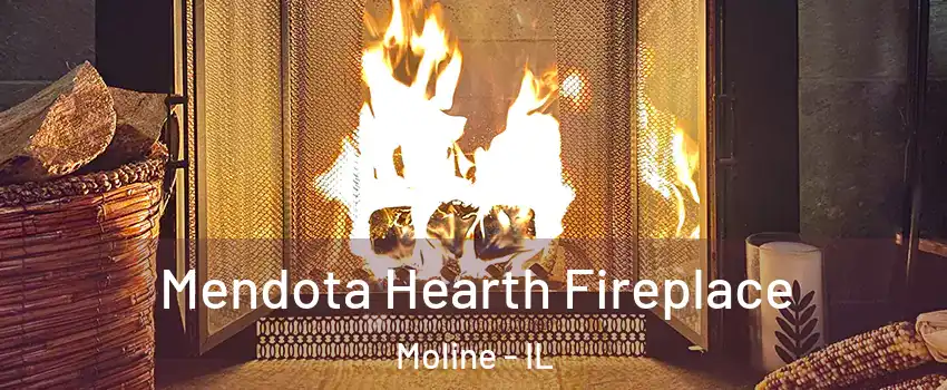  Mendota Hearth Fireplace Moline - IL