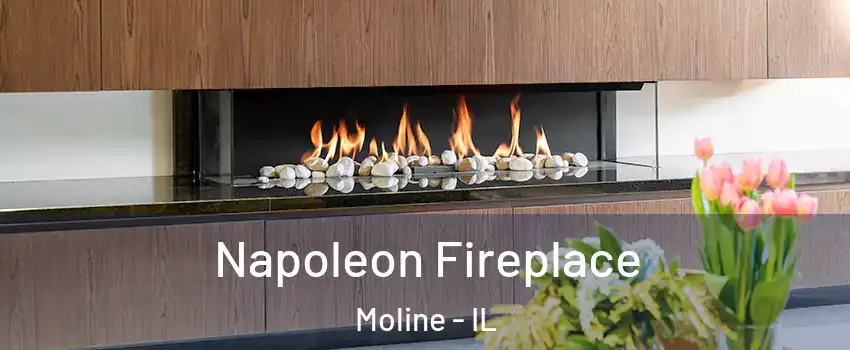  Napoleon Fireplace Moline - IL