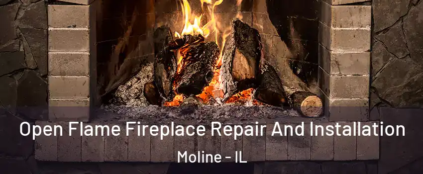  Open Flame Fireplace Repair And Installation Moline - IL