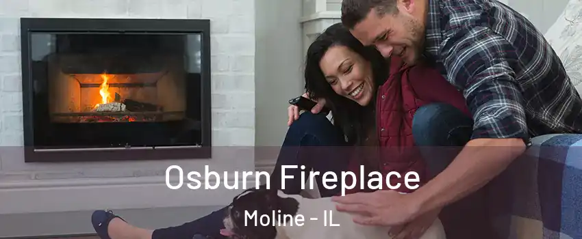  Osburn Fireplace Moline - IL