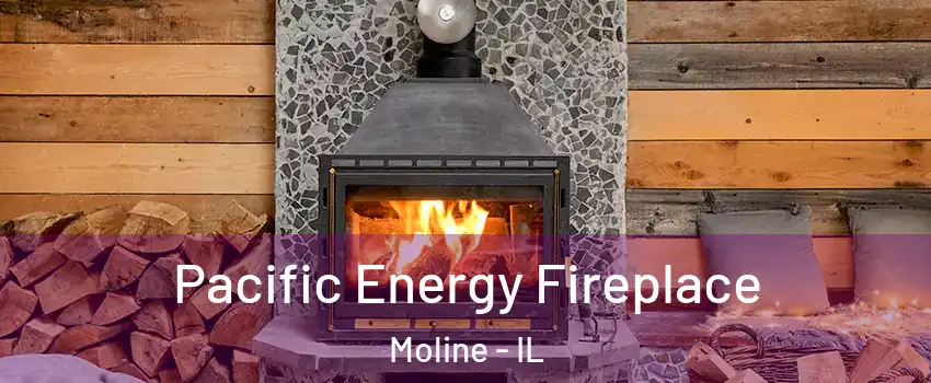  Pacific Energy Fireplace Moline - IL