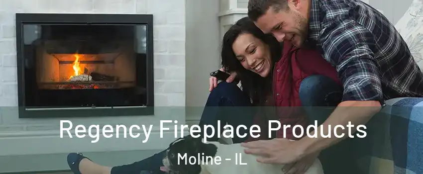  Regency Fireplace Products Moline - IL