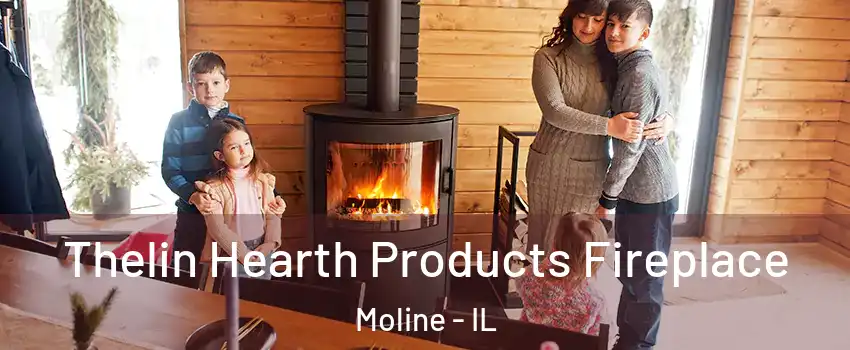  Thelin Hearth Products Fireplace Moline - IL