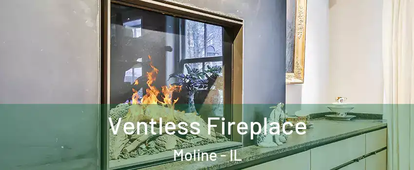  Ventless Fireplace Moline - IL