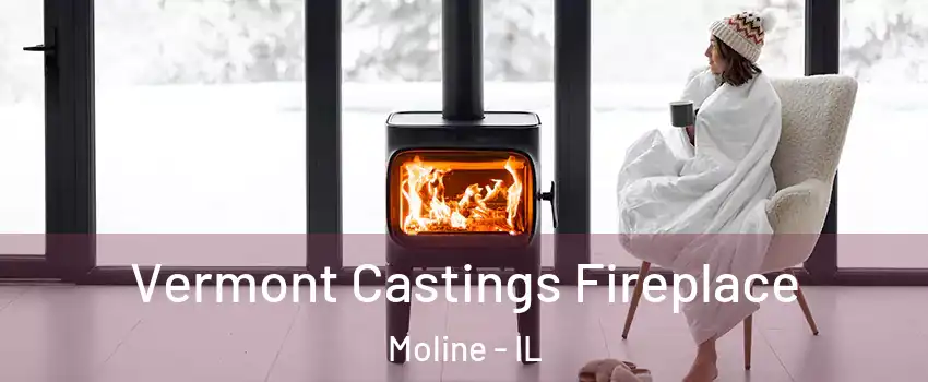  Vermont Castings Fireplace Moline - IL