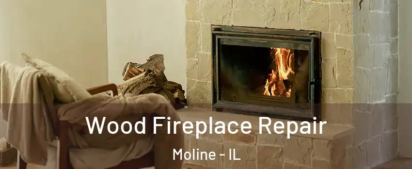  Wood Fireplace Repair Moline - IL