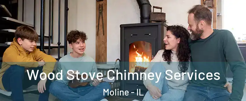  Wood Stove Chimney Services Moline - IL